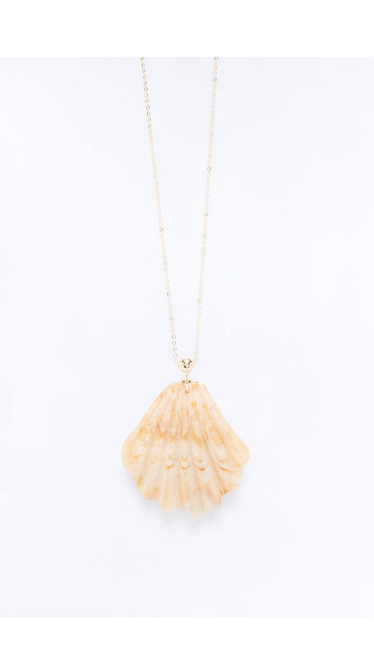 New Seashell Necklace